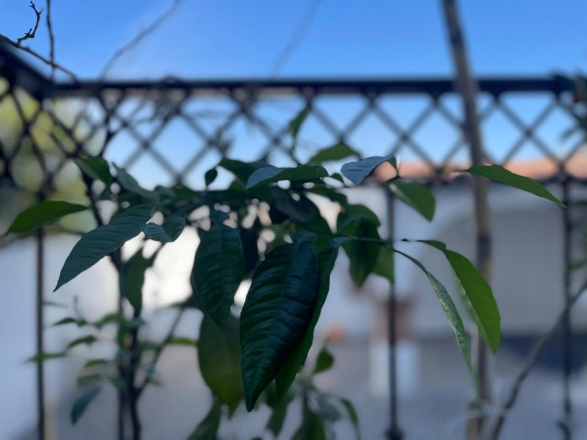 Comoda Habitacion A 10 Min Del Centro Historico De Querétaro Exteriér fotografie